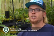 Tim Kroessig
